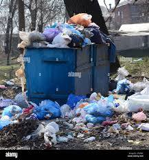 Best Yard Waste Removal  in Milbank, SD